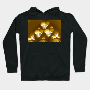 Church Window Abstract Hoodie